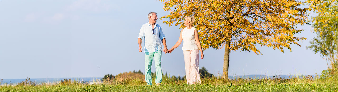 Topbanner-pension